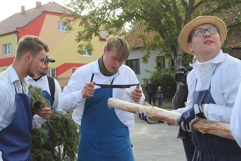 Stavění a zdobení máje v Kněždubu při hodovém pátečním odpoledni.