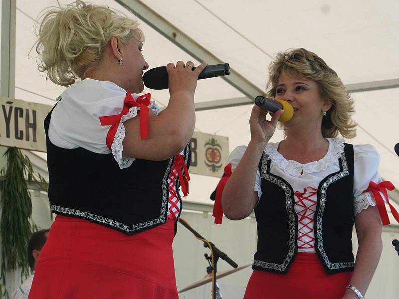 Mezinárodní festival dechových hudeb v Ratíškovicích.