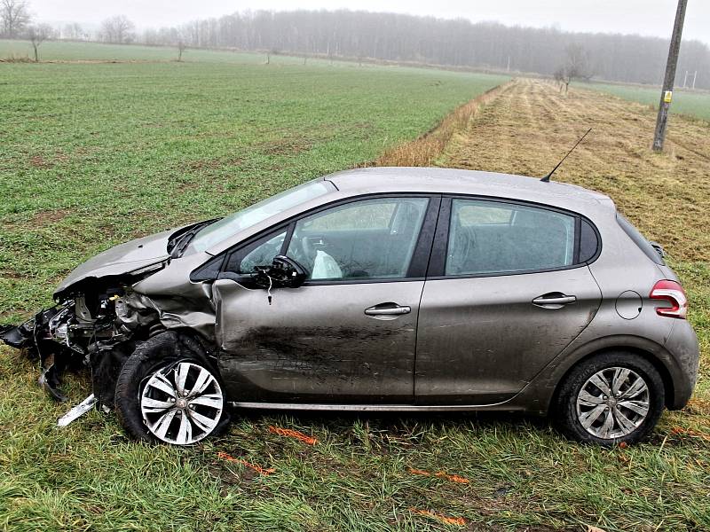 Srna způsobila dopravní nehodu u Moravského Písku.