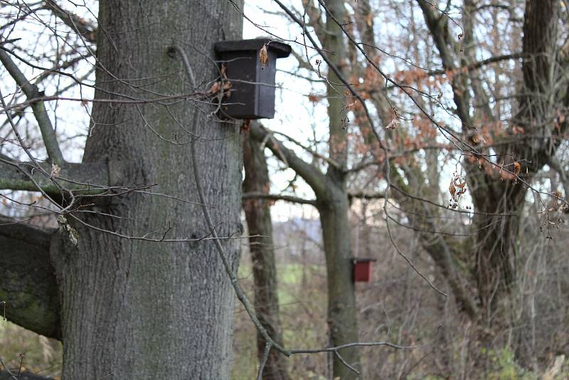 Podzimní příroda v okolí Třemešských rybníků.