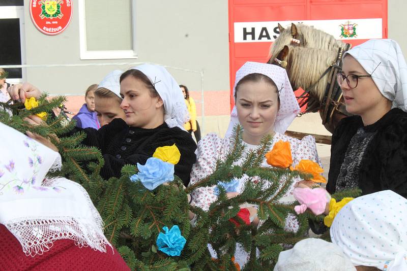 Stavění a zdobení máje v Kněždubu při hodovém pátečním odpoledni.