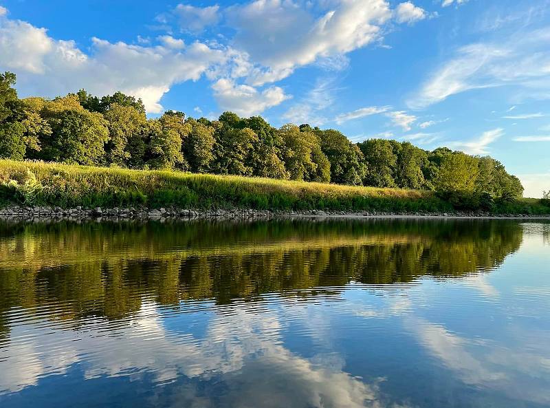 Příroda u řeky Moravy žije vlastním životem.