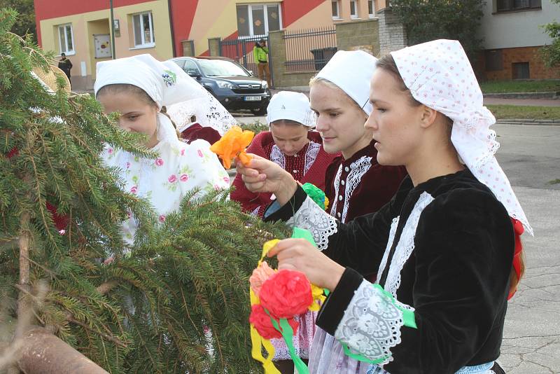 Stavění a zdobení máje v Kněždubu při hodovém pátečním odpoledni.