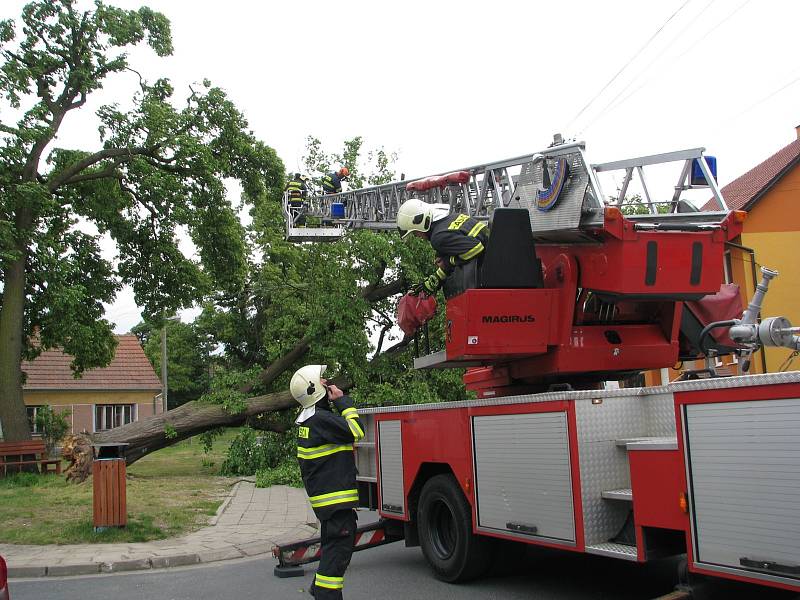 V centru Vacenovic spadla na vysoké napětí lípa.