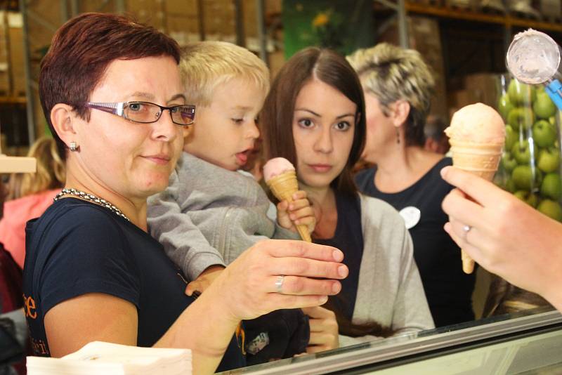 Bylinkové slavnosti v Čejkovicích. Nově se pro návštěvníky otevřel Čajový salon a kavárna.