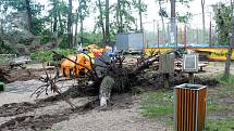 Hodonínská zoo po čtvrteční bouřce s tornádem.