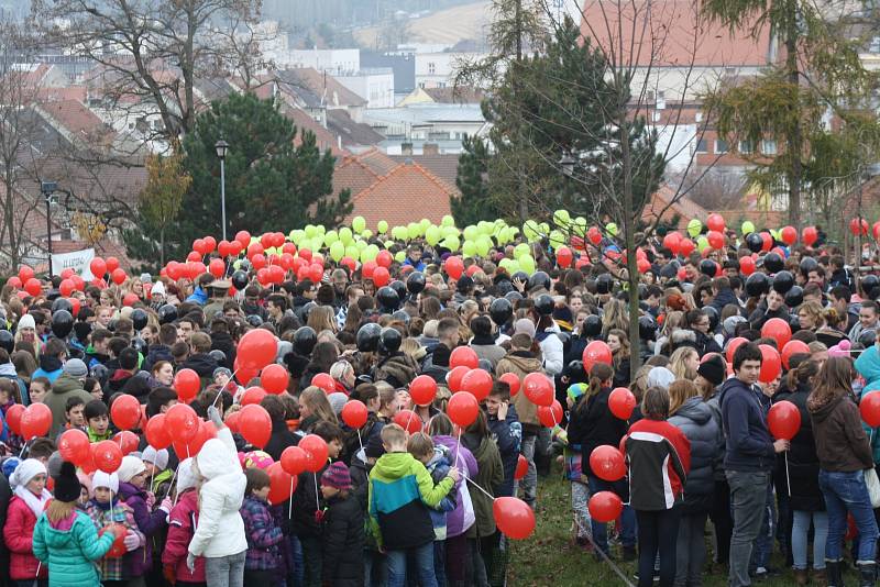 Z téměř dvou tisíc nafukovacích balonků vytvořili žáci a studenti kyjovských škol za pomoci veřejnosti živý vlčí mák, kterým uctili válečné vetrány.