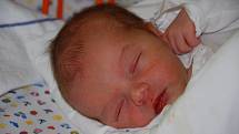 David Suchota, 47cm, 2,75kg, 3.8.2008