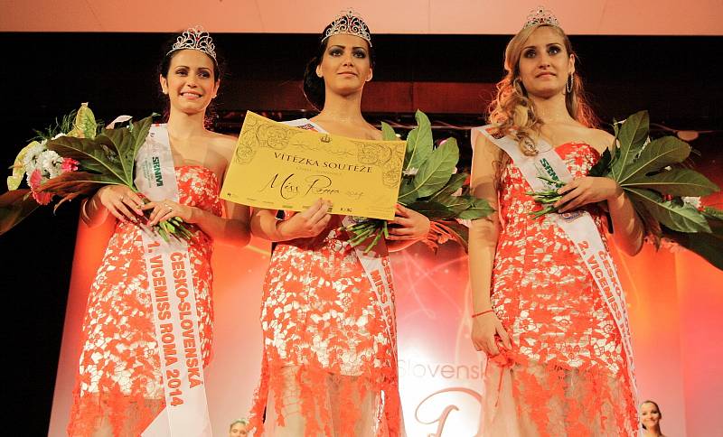O titul Miss Roma 2014 se v Hodoníně ucházelo dvanáct dívek z České i Slovenské republiky.