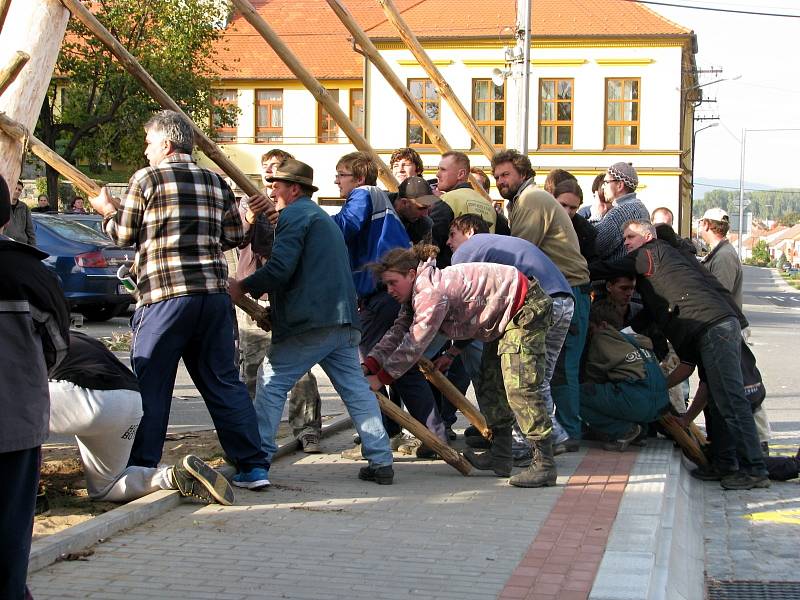 Vacenovičtí staví na návsi máju.