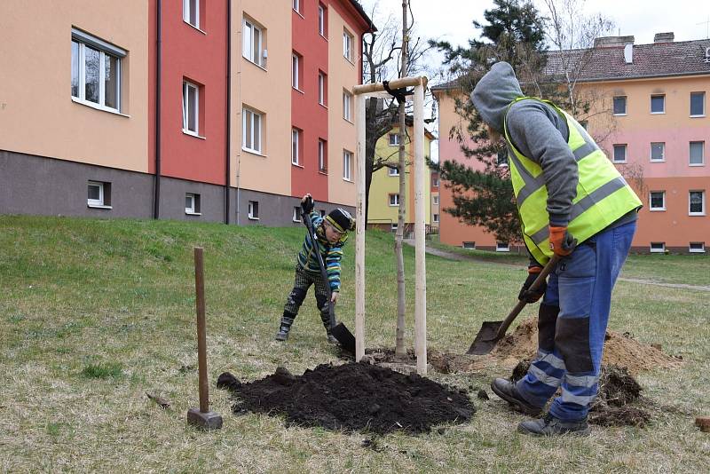 Bažantnici zaplnily nové stromy.