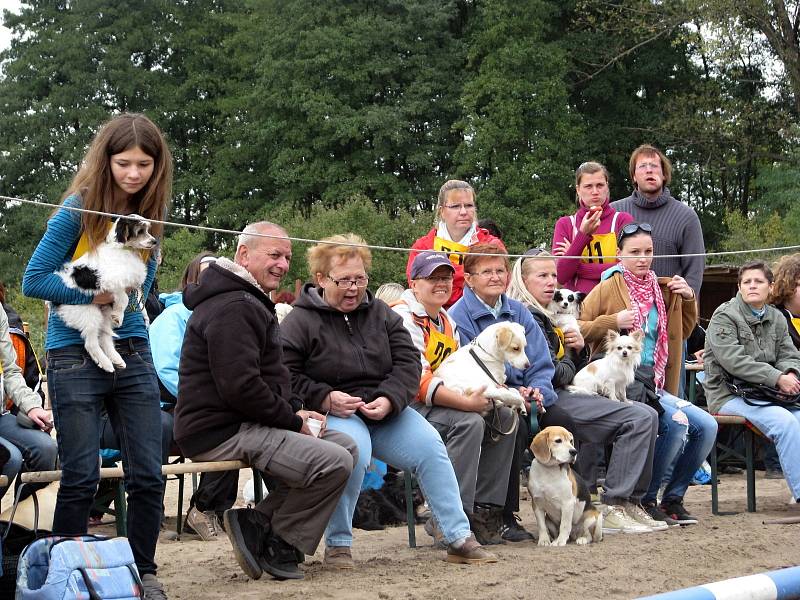 Happy dogs day (Šťastný psí den) ve Bzenci.