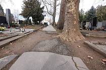 V nejhorším stavu je na hřbitově v Hodoníně zřejmě tento chodník ve staré části. Minimálně v roce 2024 se ale opravy nedočká.