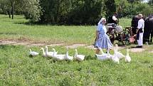 Dožínky ve skanzenu jsou ve Strážnici již tradiční folklorní akcí.