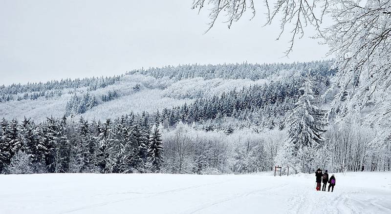 Milovníci běžek vyrazili do sněhem pokrytého Kubíkova vrchu.