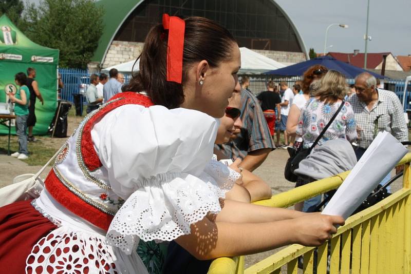 Po šestačtyřicáté se v Ratíškovicích uskutečnil Mezinárodní festival dechových hudeb.