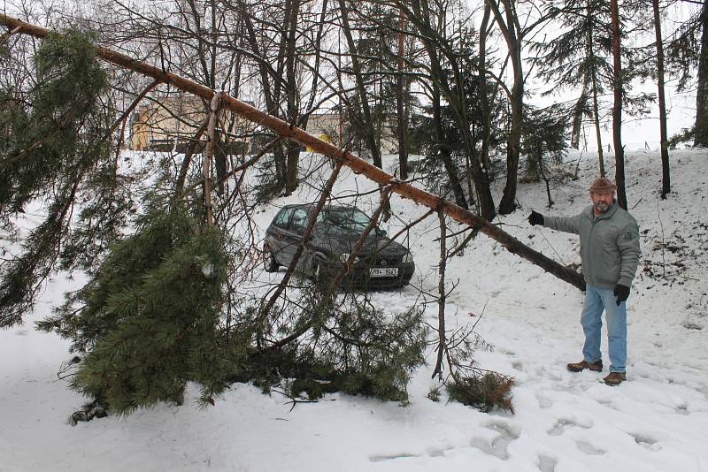 Mezi stromy, které nevydržely vrstvu těžkého mokrého sněhu a vyvrátily se z podmáčené půdy, byla i borovice v části Staré Blansko. Ta pravděpodobně v úterý k ránu spadla přes cestu a položila se na protilehlé garáže.