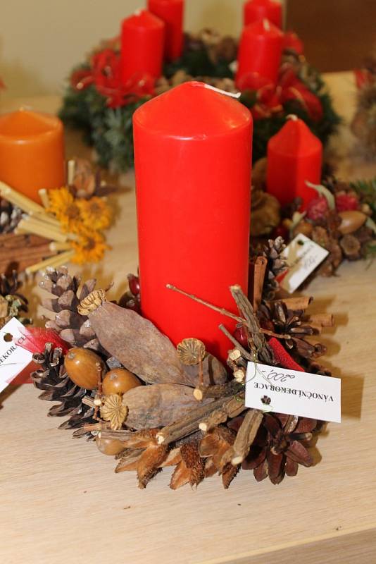 Koupit vánoční dekorace a pokochat se zručností umělců mohou v těchto dnech návštěvníci Dělnického domu v Blansku. Koná se tam totiž Vánoční prodejní výstava s ukázkami lidových řemesel.