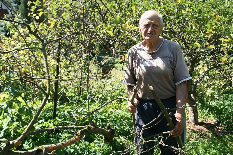 František Novák z Adamova (na snímcích) má chatu u řeky Svitavy už přes padesát let. Na zahradu mu občas chodí srnky. Před několika dny však měl jinou návštěvu. Dvě jabloně mu okousal bobr.