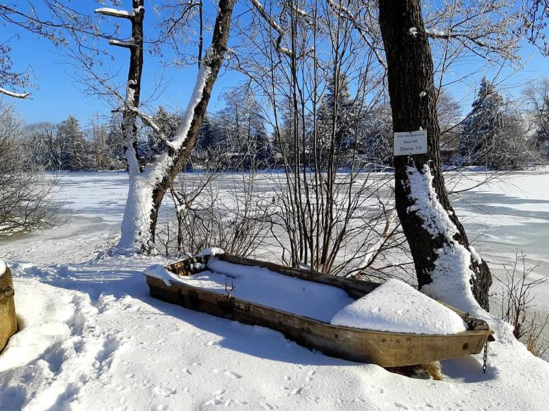Suchovský rybník je vyhlášený kvalitou své vody během celé letní sezony. V zimě se využívá k ledním sportům.