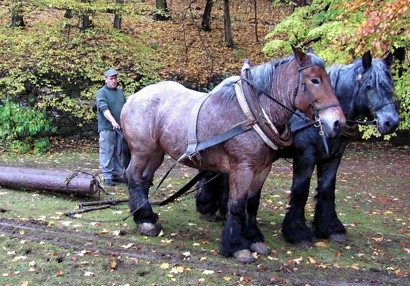 Deváté Svatohubertské slavnosti lákaly na boskovický zámek stovky návštěvníků.