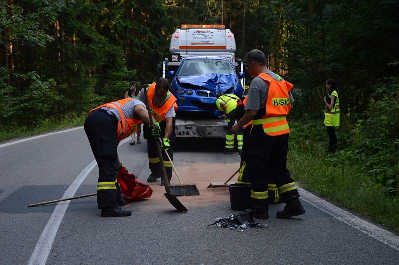 Tragicky skončila v sobotu odpoledne dopravní nehoda na silnici I/19 mezi obcemi Rozseč a Hodonín. Před půl třetí odpoledne se tam čelně srazil skútr s osobním autem. Na motorce jel dvaadvacetiletý mladík, který na místě těžkému zranění podlehl.