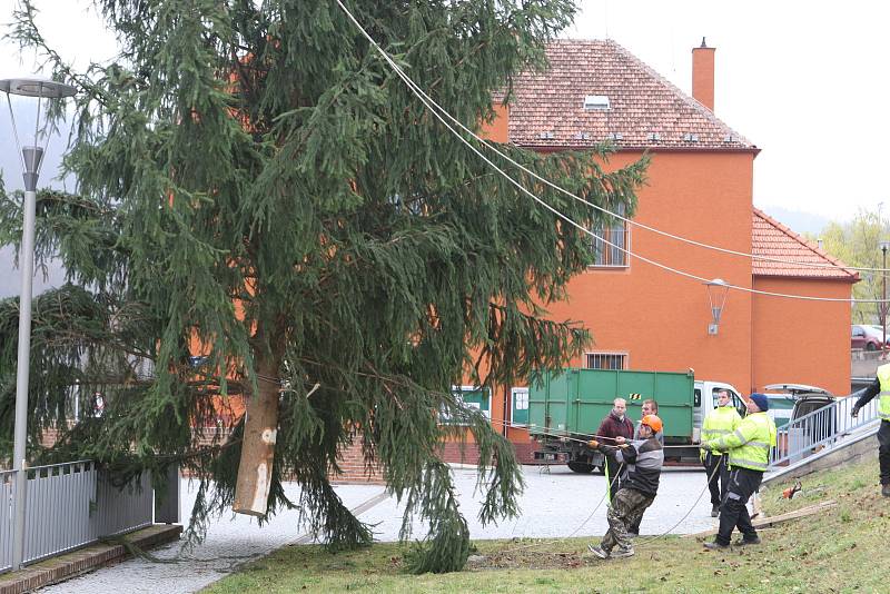 V pondělí přivezla těžká technika vánoční strom ke kostelu svaté Barbory v Adamově. Městu ho věnoval Školní lesní podnik Masarykův les Křtiny.