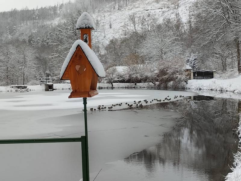 Boskovice v těchto dnech pocukrovala zima.