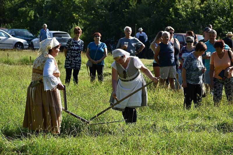 Kloboučské bratrstvo pořádalo už po dvanácté sečení otav. Soutěžilo jedenáct mužů, pět žen a dva junioři.