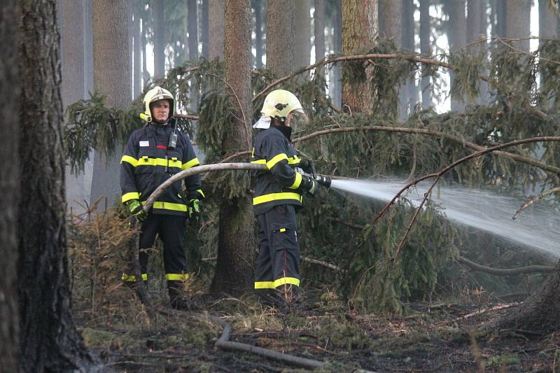 Deset jednotek hasičů zalarmoval v sobotu po šesté večer požár lesa. Hořelo mezi Ostrovem u Macochy, Lipovcem a Krasovou. Krátce před osmou hodinou dostali hasiči oheň po kontrolu.
