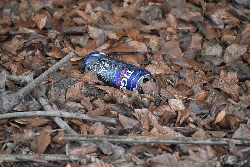 Dobrovolníci sbírali v sobotu odpadky v Moravském krasu na Blanensku. Zaměřili se na okolí silnic. Na snímku úsek mezi Josefovem a Olomučany.