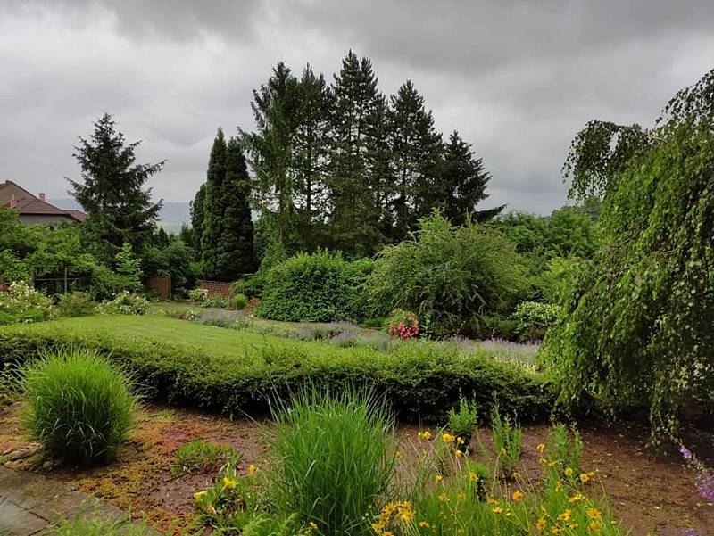 Při výletech po Boskovicku turisté rádi navštěvují i Borotín, kde se nachází vyhlášené arboretum.