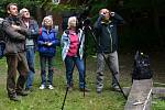 René Bedan pozoroval a vyfotografoval v Moravském krasu sokoly stěhovavé, kteří se do této lokality vrátili po několika desetiletích. Sledoval i mláďata.