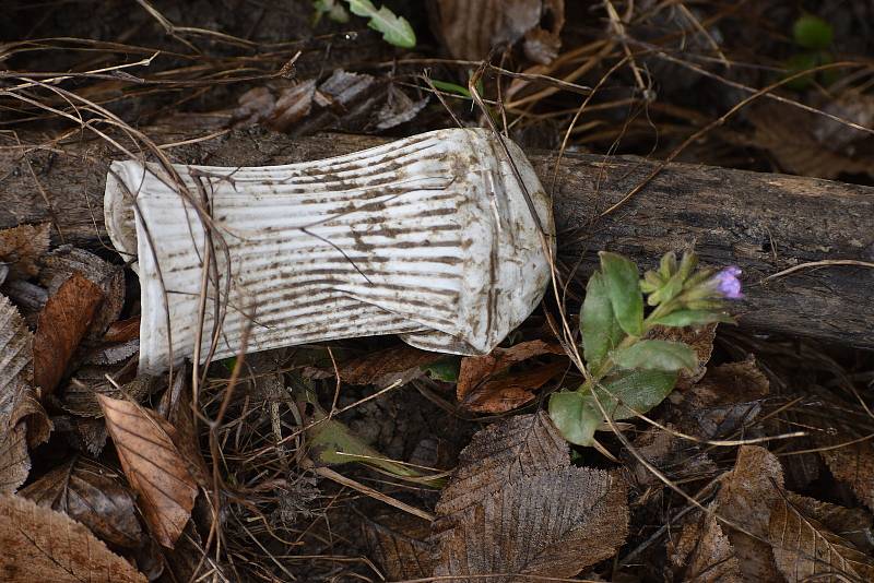 Dobrovolníci sbírali v sobotu odpadky v Moravském krasu na Blanensku. Zaměřili se na okolí silnic. Na snímku úsek mezi Josefovem a Olomučany.