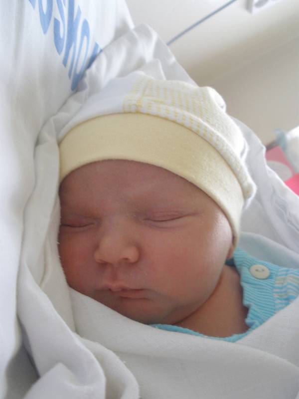 Adam Šustek, 47 cm, 3,01 kg, Velké Opatovice, 9. 12. 2013 