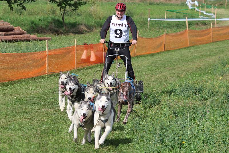 Na ježdění na Valše  v Louce závodily na dvě stovky psů a čtyřicet majitelů.