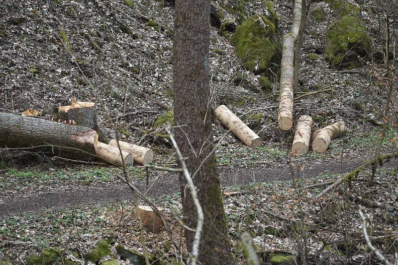 Dvě turistické trasy v Národní přírodní rezervaci Býčí skála v Moravském krasu na Blanensku byly několik měsíců uzavřené. Omezení končí 6. dubna.