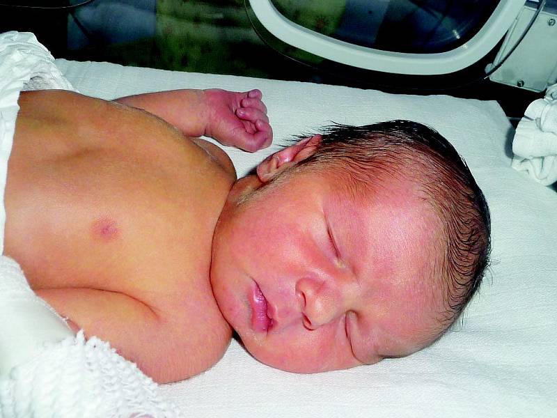 Ondřej Šustek, 49 cm, 3,05 kg, 22. 2. 2010, Velké Opatovice.