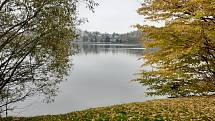 Poslední říjnový pátek a sobotu je na programu výlov největšího rybníku na Blanensku. Dvaačtyřicetihektarového Olšovce v Jedovnicích.