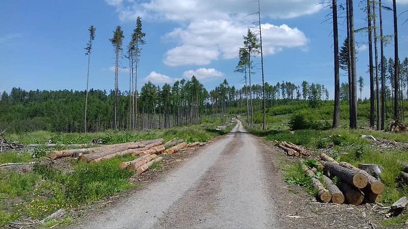 Z výletu z Boskovic do Úsobrna, Jaroměřic, Uhřice, Cetkovic a Světlá do Šebetova a přes Doubravy do Boskovic.