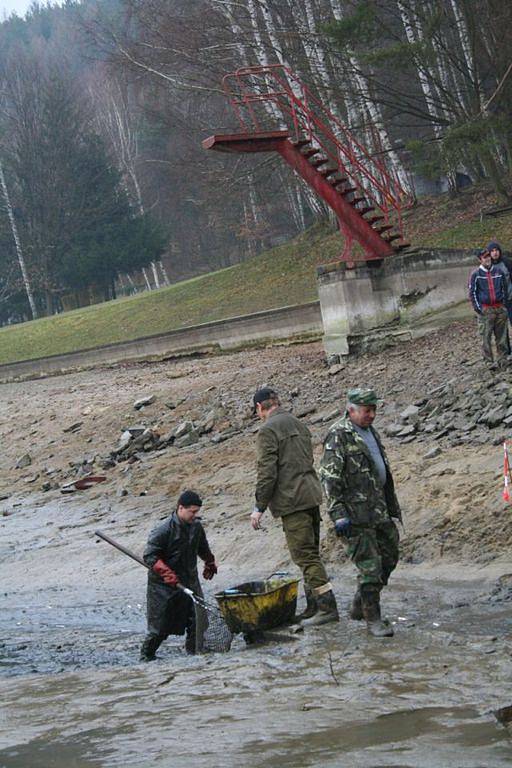 Blanenská přehrada Palava se dočká po devíti letech odbahnění dna. Proto bylo nutné z nádrže nejprve vylovit ryby. Místním rybím králem byl 181 cm velký sumec.