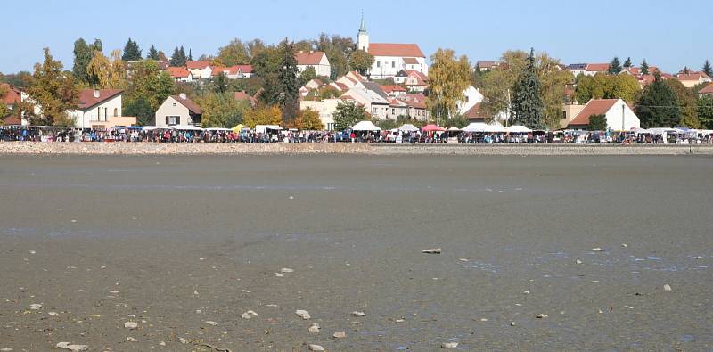 Rybáři vylovili jedovnický rybník Olšovec. V síti uvízl i sumec albín.