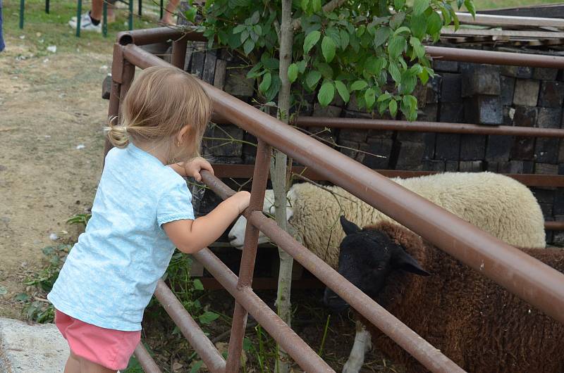 Na Farmě u Slouků v Rájci-Jestřebí tuto sobotu pořádali první ročník Dožínek.