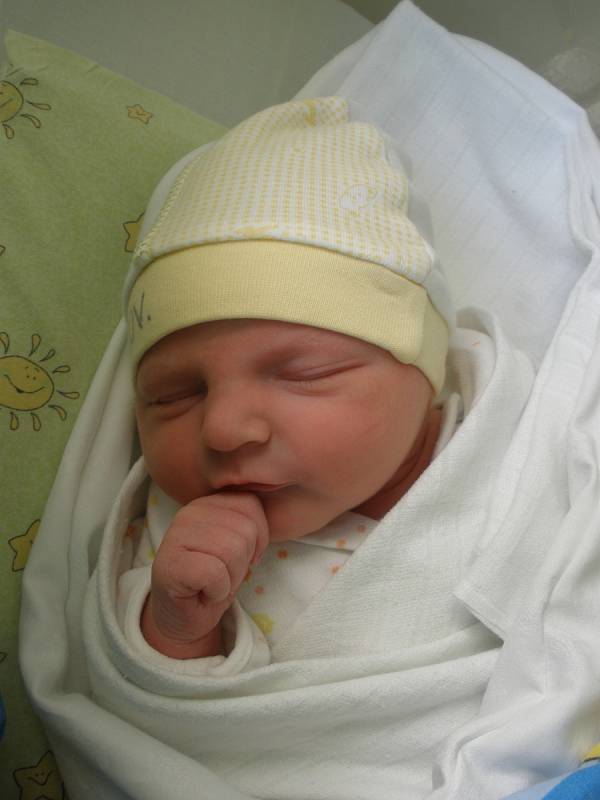 Ema Pitnerová, 49 cm, 3,23 kg, Rovečné, 13. 1. 2015 