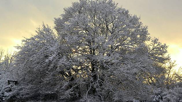 Krásy zimy u Ostrova u Macochy. Foto: Pavel Kuchař