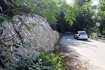 Uvolněné kameny ze skalního masivu leží u silnice nedaleko Adamova i po devíti měsících. Kdo je odklidí a zabezpečí svah, není jasné.