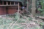 Popadané stromy zůstanou v chatové osadě v obci Suchý ještě dva týdny.