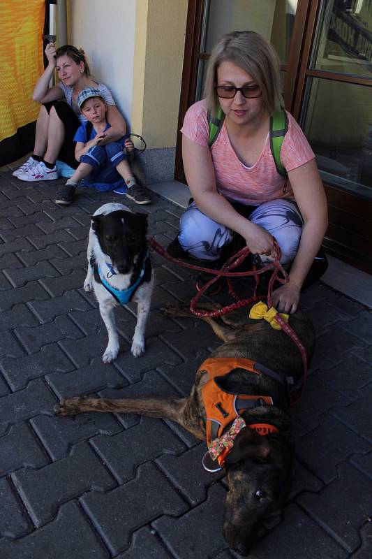 V Černé Hoře dosáhli na vavříny i na rekord. Turistická sezona odstartovala.