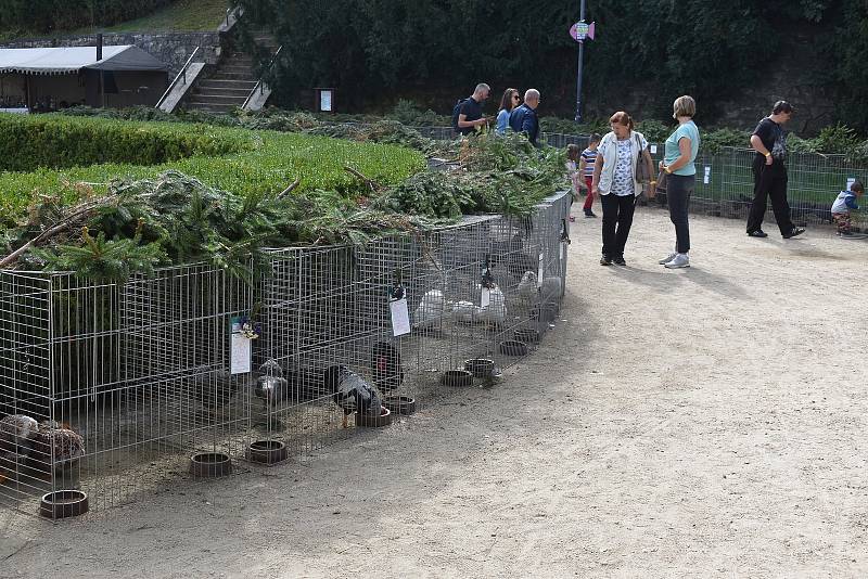 V sobotu a v neděli ovládly Boskovice tradiční Husí slavnosti. S pořadovým číslem osmnáct. Příchozí si pochutnali nejen na lahodných pečínkách. Na pódiu na Masarykově náměstí a také v letním kině pak pořadatelé připravili sérii koncertů. Vystoupil napříkl