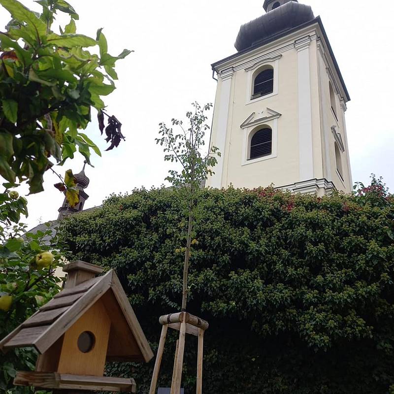 Kostel svatého Martina a stále rozkvetlá zahrada u přilehlé fary.